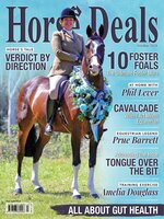 Horse Deals